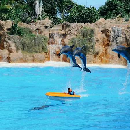 One & Only Sports And Relax Heated Pool By Eden *