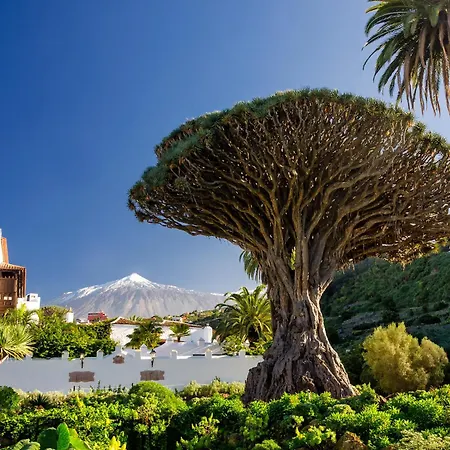 One & Only Sports And Relax By Eden Villa